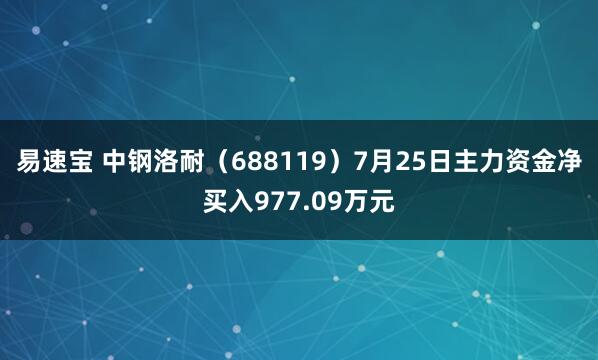 易速宝 中钢洛耐（688119）7月25日主力资金净买入977.09万元