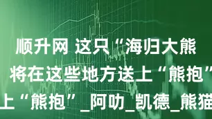 顺升网 这只“海归大熊猫”升级，将在这些地方送上“熊抱”_阿叻_凯德_熊猫阿